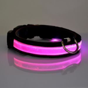 LED Dog Collar