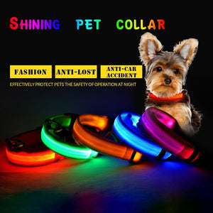 LED Dog Collar