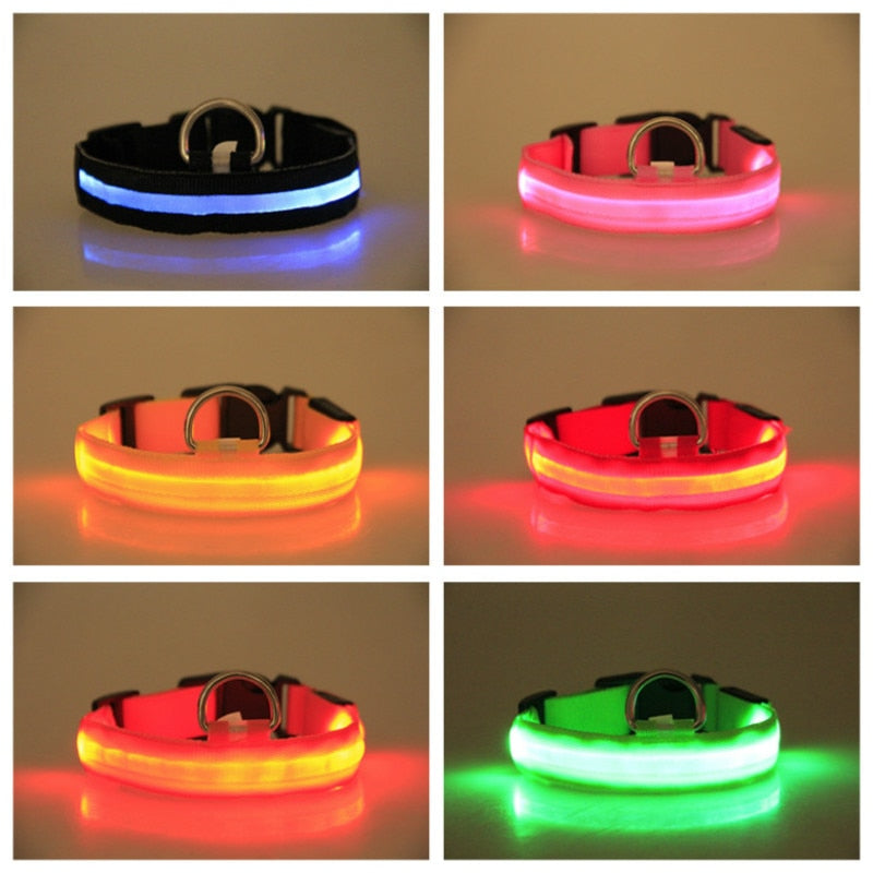 LED Dog Collar