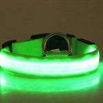 LED Dog Collar