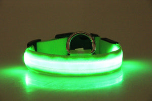 LED Dog Collar