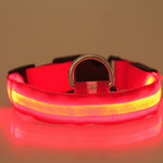 LED Dog Collar