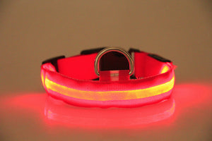 LED Dog Collar