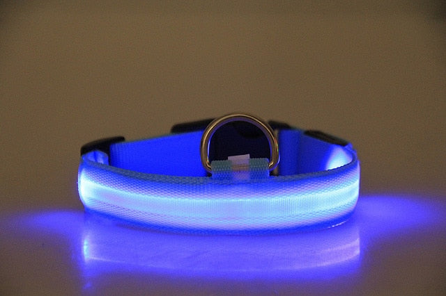 LED Dog Collar