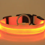 LED Dog Collar