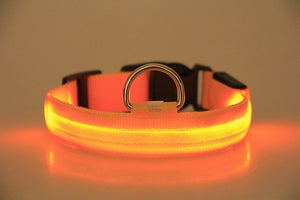 LED Dog Collar