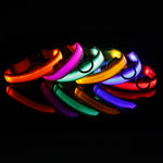 LED Dog Collar